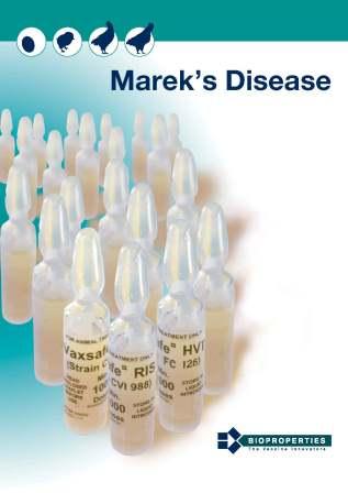 Download Mareks Brochure