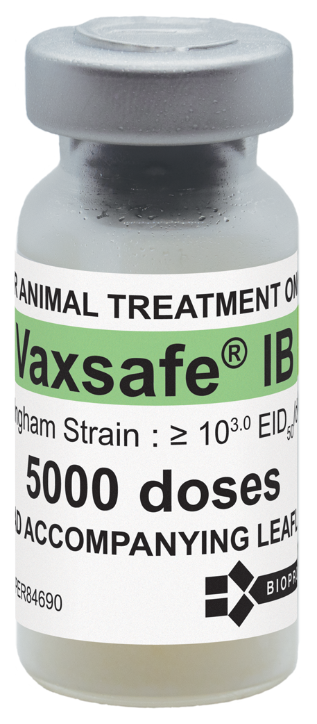 Vaxsafe IB