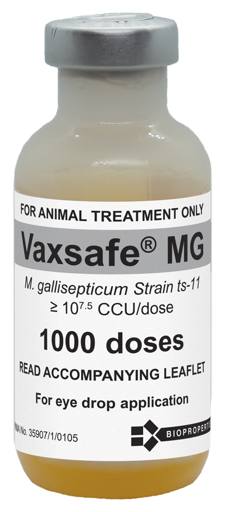 Vaxsafe® MG