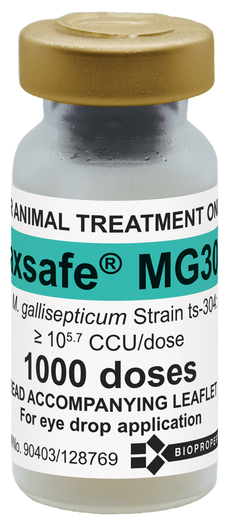 Vaxsafe MG304