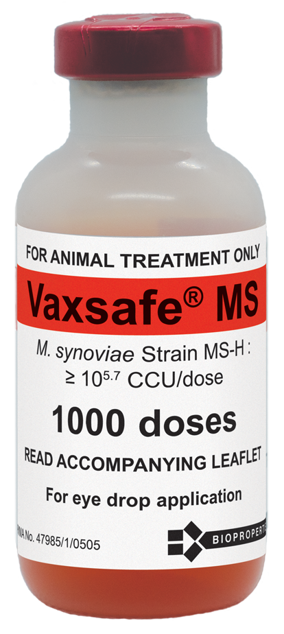 Vaxsafe MS